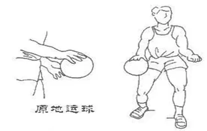 为什么可靠的篮球技术指导对初学者很重要?_2